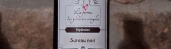 hydrolat-Sureau-bio-demeter-pas-cher-direct-petit-producteur-Ardeche-scaled.jpg
